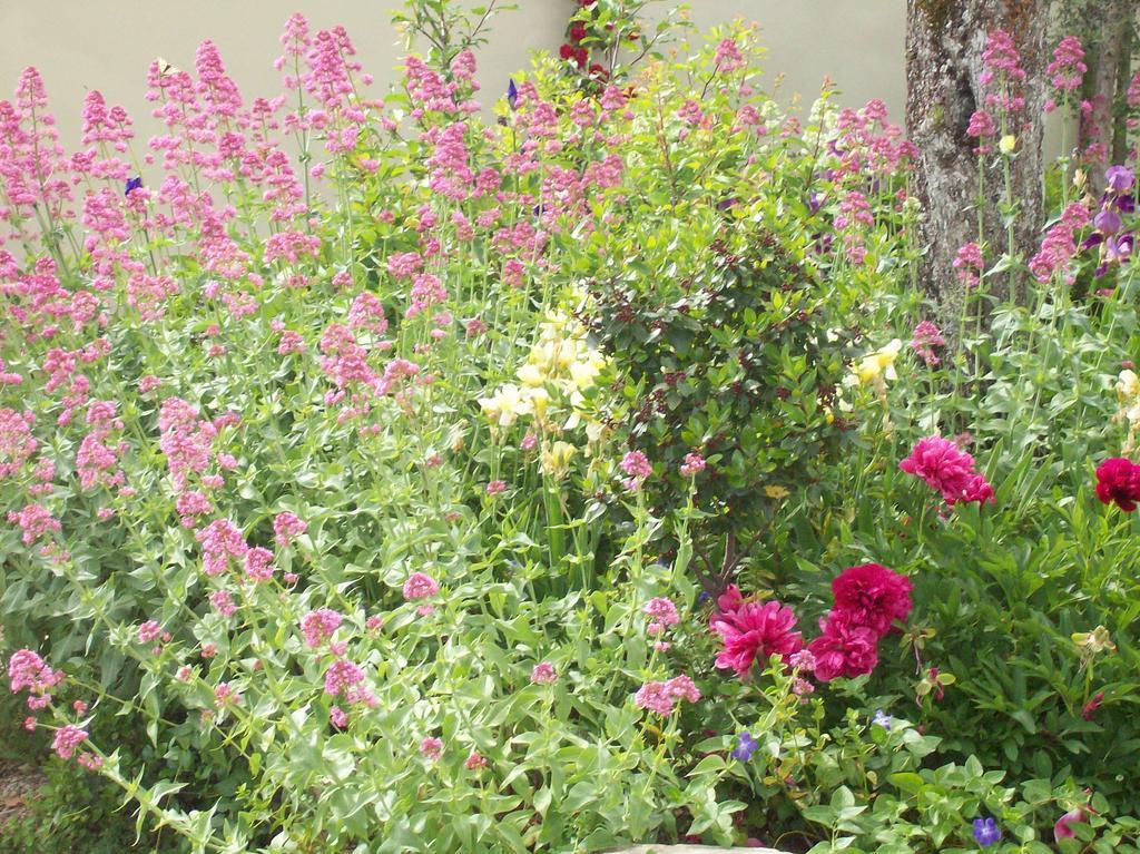Pergine Valdarno Villa Chiara מראה חיצוני תמונה